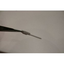 Supermarine Seagull II / III (RAF/RAAF) (IJN)